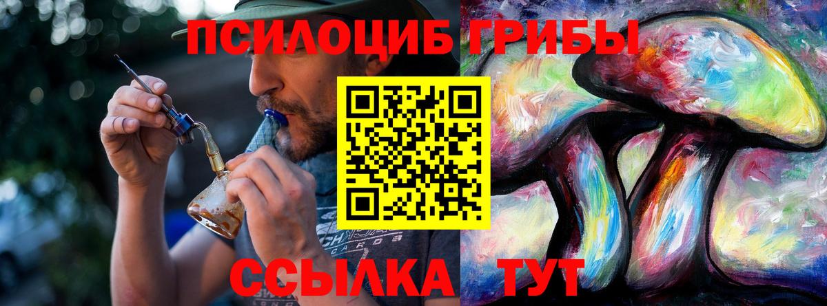 Галлюциногенные грибы Psilocybine cubensis Бийск