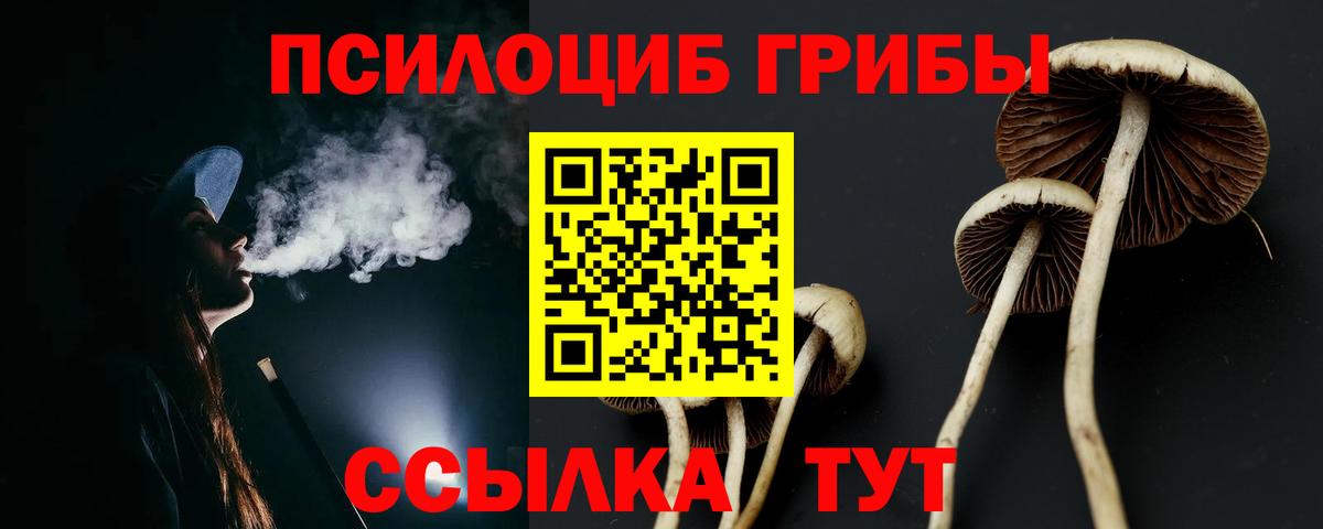 Псилоцибиновые грибы GOLDEN TEACHER  Вход с VPN  Бийск 